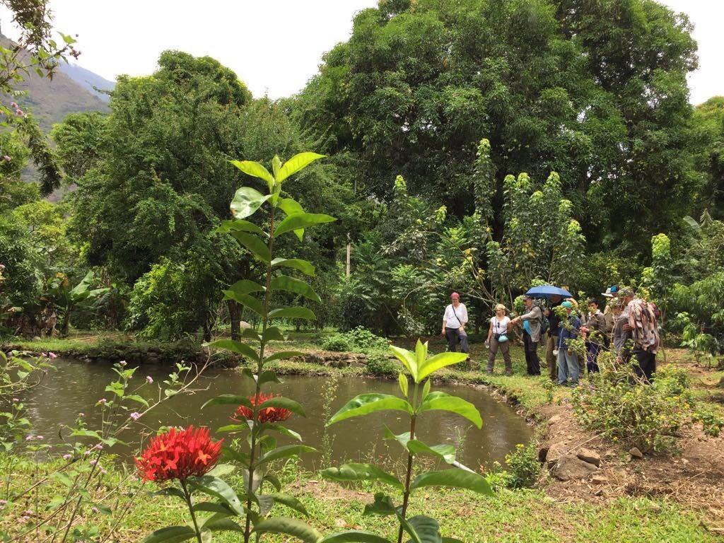 Maranura El Mangalホステル エクステリア 写真