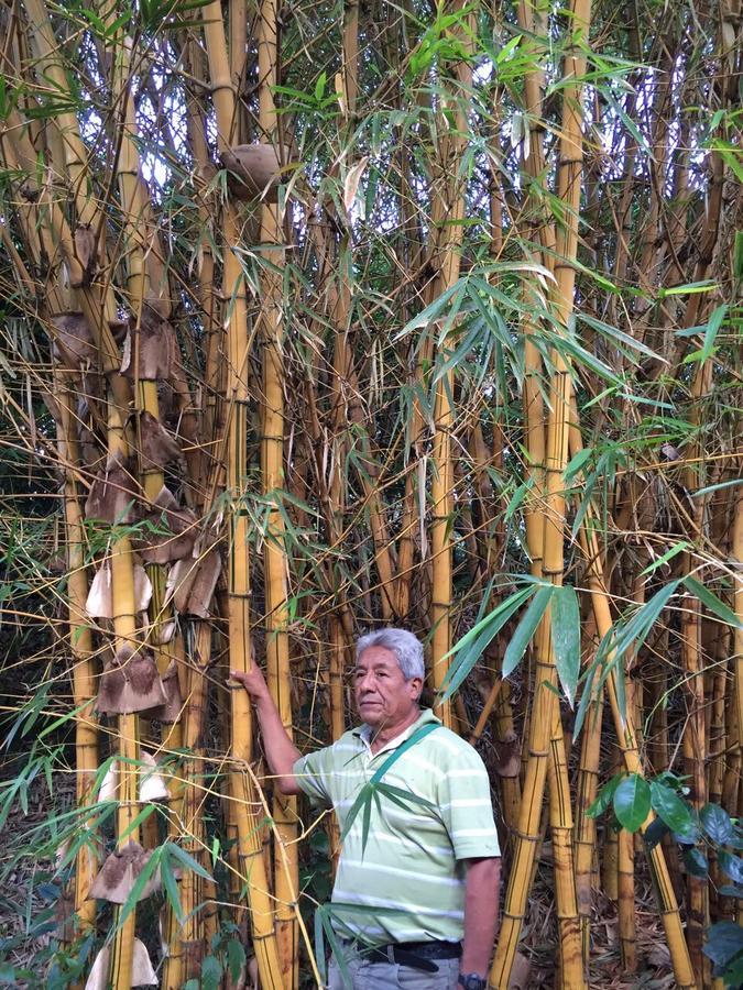 Maranura El Mangalホステル エクステリア 写真