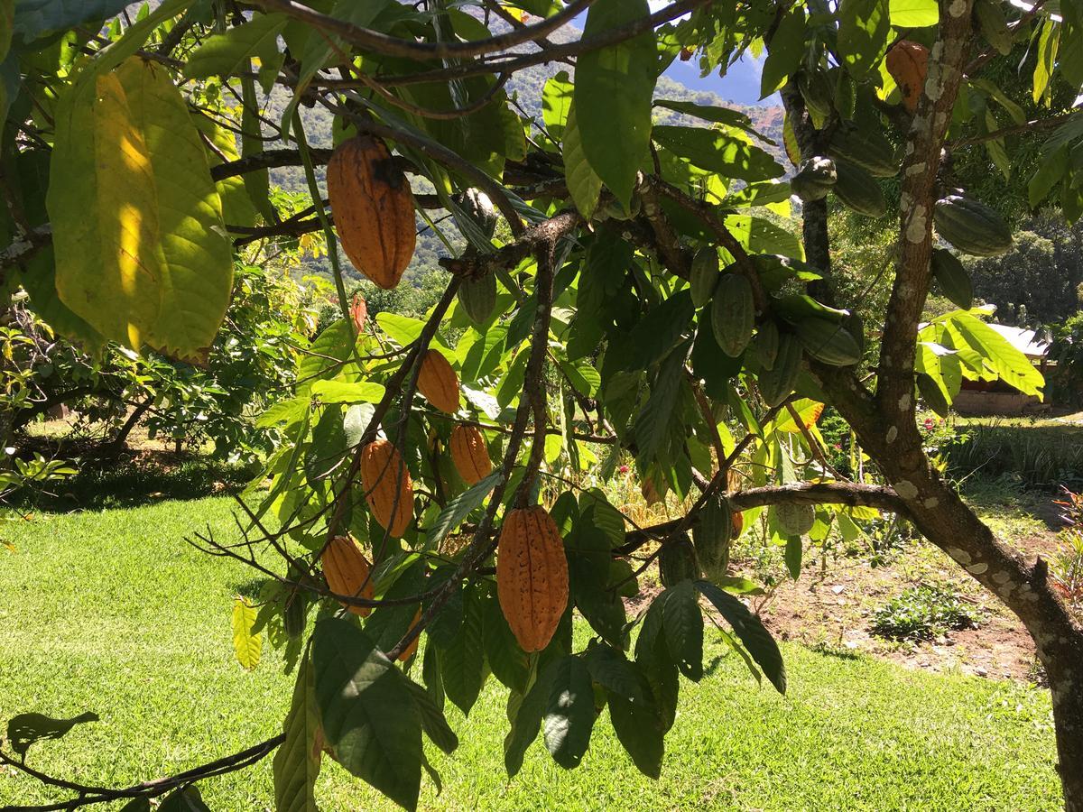 Maranura El Mangalホステル エクステリア 写真