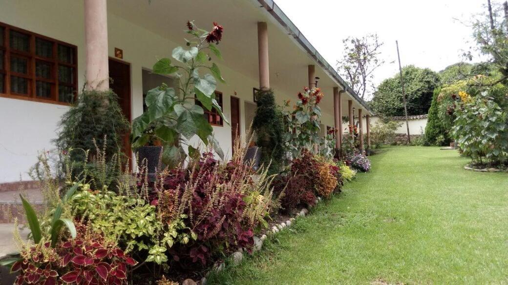 Maranura El Mangalホステル 部屋 写真